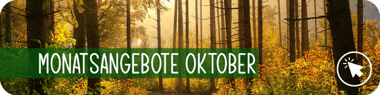 Angebote Oktober