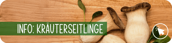Info Kräuterseitlinge