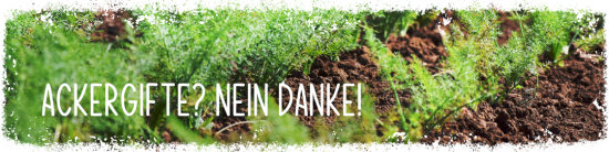 Süßkartoffeln