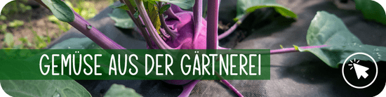Gemüse aus der Gärtnerei