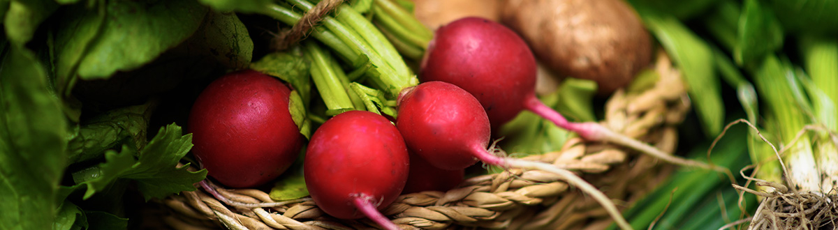 Champignon, Rosenkohl und Porree