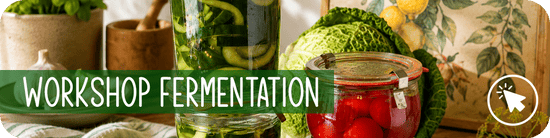 Workshop Fermentation