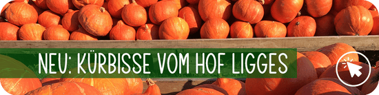 Kürbisse