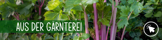 Gemüse aus der Gärtnerei