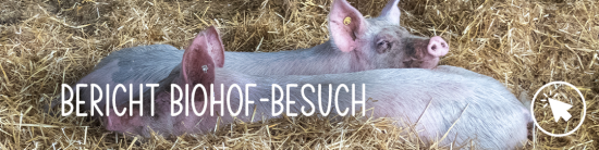 Bericht Biohof-Besuch