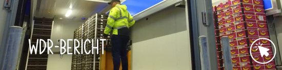 Bericht über unseren Bananen-Importeur