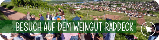 Besuch auf dem Weingut Raddeck