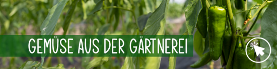 Gemüse aus der Gärtnerei