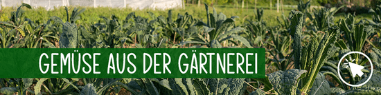 Gemüse aus der Gärtnerei