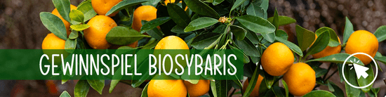 Gewinnspiel biosybaris
