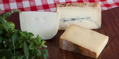 Käse