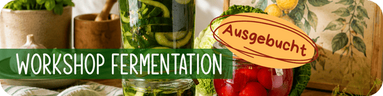 Fermentationskurs