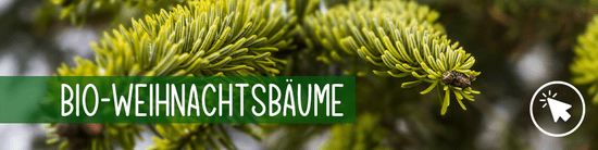 Weihnachtsbäume