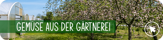 Gemüse aus der Gärtnerei