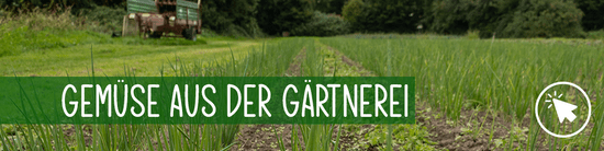 Gemüse aus der Gärtnerei