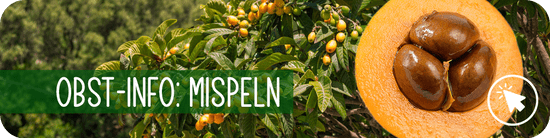 Obst-Info: Mispeln