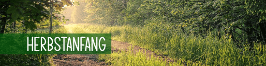 Herbstanfang
