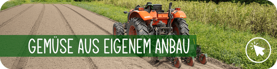 Gemüse aus der Gärtnerei