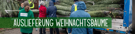 Auslieferung Weihnachtsbäume