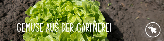 Gemüse Gärtnerei