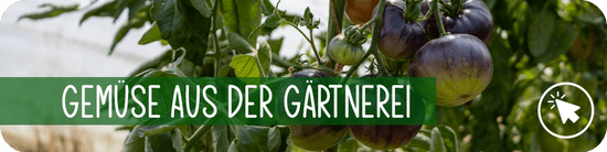 Gemüse aus der Gärtnerei