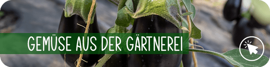 Gemüse aus der Gärtnerei