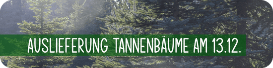 Auslieferung Tannenbäume