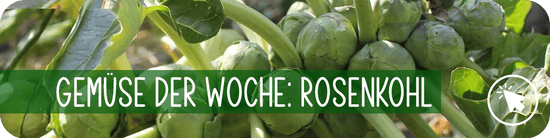 Rosenkohl