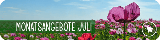 Monatsangebote Juli