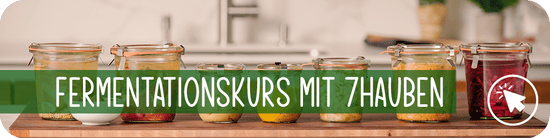 Fermentationskurs 