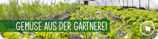 Gemüse aus der Gärtnerei