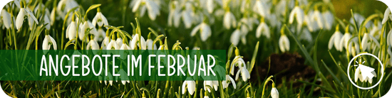 Angebote Februar