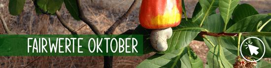 fairwerte Oktober