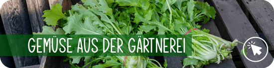 Gemüse aus der Gärtnerei