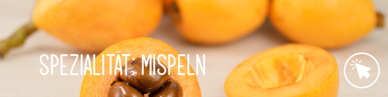 Mispeln