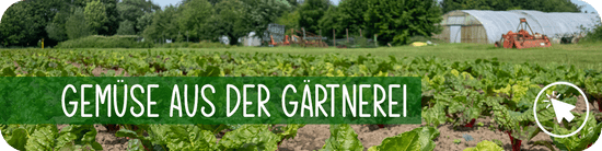 Gemüse aus der Gärtnerei