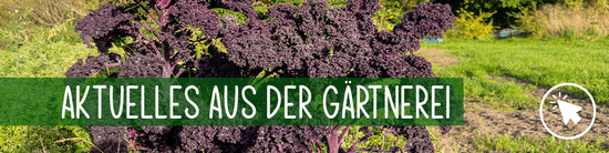 Aus der Gärtnerei