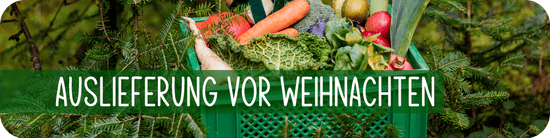 Auslieferung vor Weihnachten