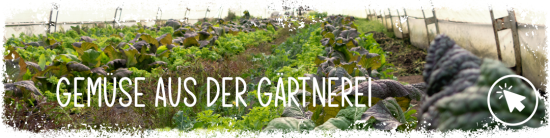 Gemüse aus der Gärtnerei