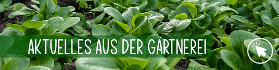 Aus der Gärtnerei