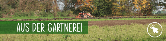 Gemüse aus der Gärtnerei