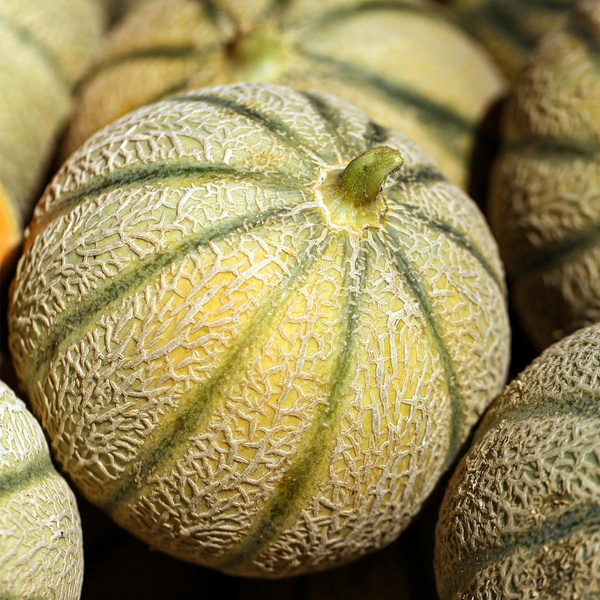 Produktfoto zu Honigmelone Charentai 500g