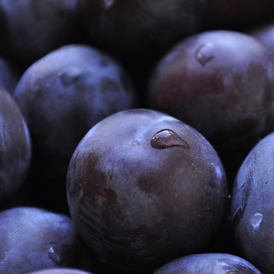 Produktfoto zu Pflaumen blau