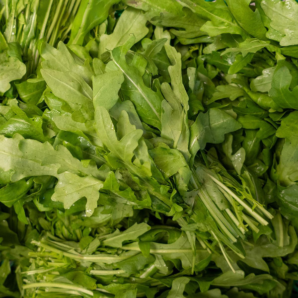 Produktfoto zu Rucola, lose