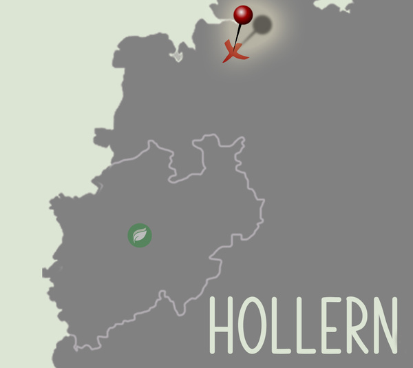 Hollern