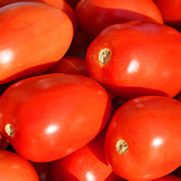 Produktfoto zu Tomaten, rund