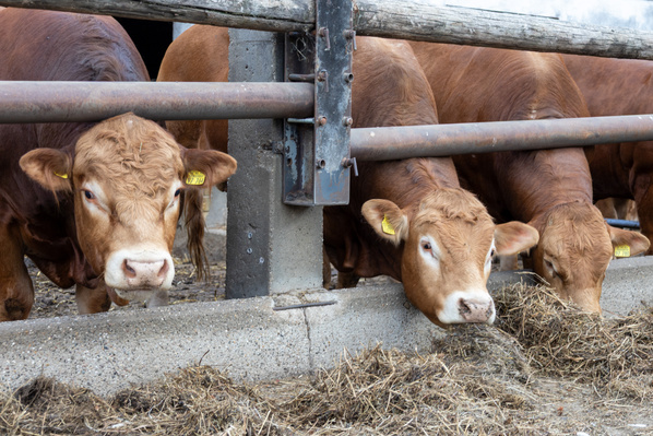 Besuch auf dem Biohof Schulz-Wethmar