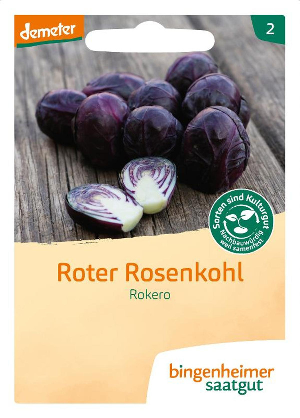Produktfoto zu Roter Rosenkohl