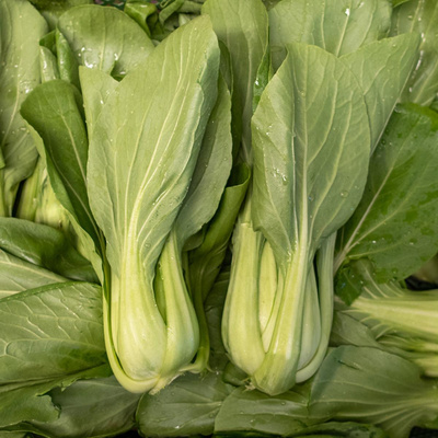 Produktfoto zu Pak Choi  250g+