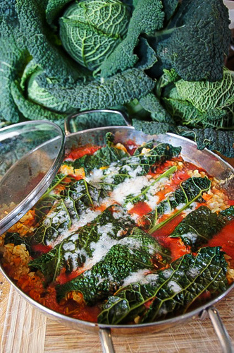 Wirsing‐Cannelloni